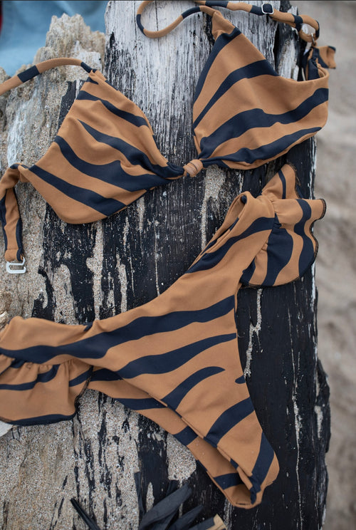 Knot Zebra